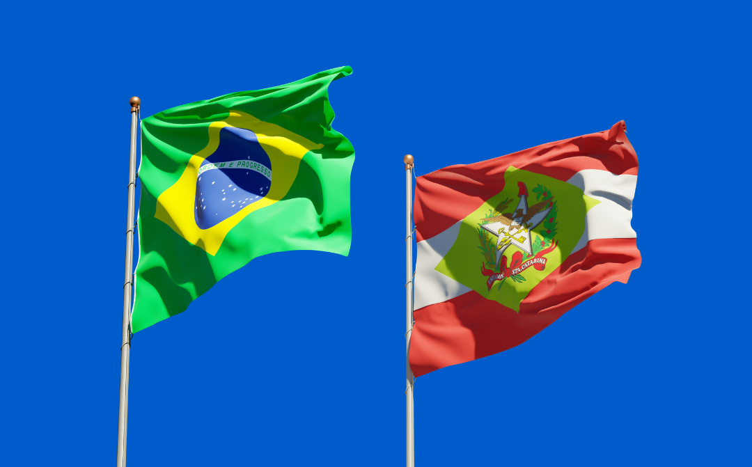 Comércio de Santa Catarina em crescimento: o que isso significa para sua empresa
