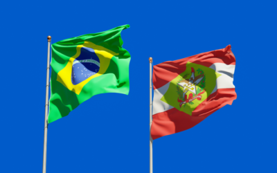 Comércio de Santa Catarina em crescimento: o que isso significa para sua empresa