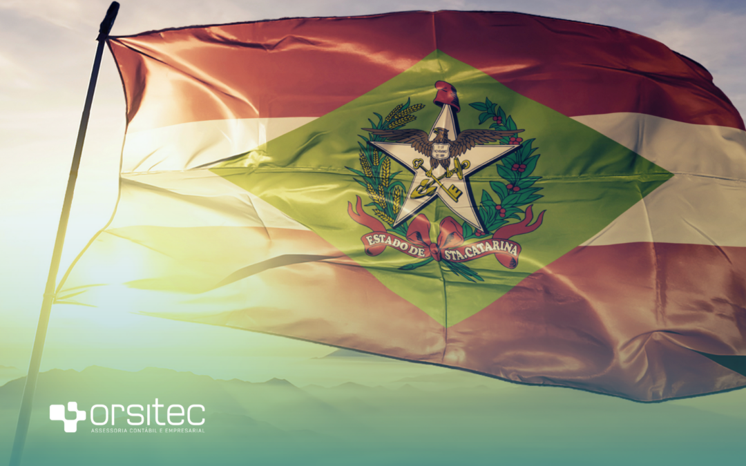 Comércio de Santa Catarina em crescimento: o que isso significa para sua empresa